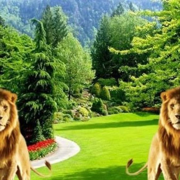 Meet your Posher, Abebaw - Picture 1 of 1